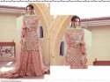 SHREE FAB DN S-206 NET WITH EMBROIDERY WORK SUIT thumb 2