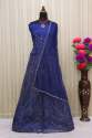 Vipul Elliza Heavy Butterfly Net Gown DN 4736 thumb 4