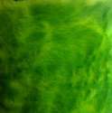 Green Soft Fur Fabric