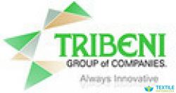 Tribeni Group logo icon