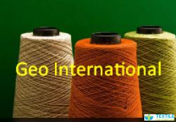 Geo International logo icon
