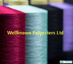 Wellknown Polyesters Ltd logo icon